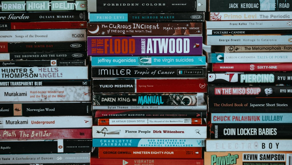 Bookshelf with famous English novels 